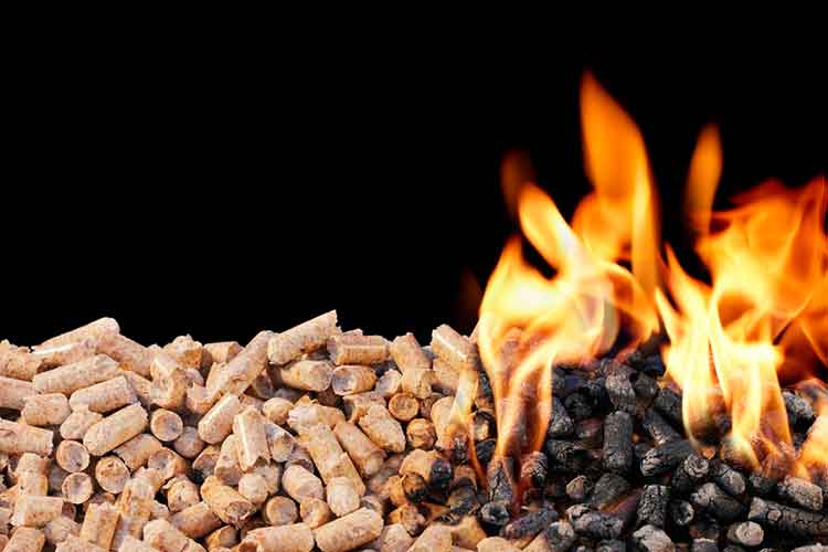 burning-biomass-wood-pellets