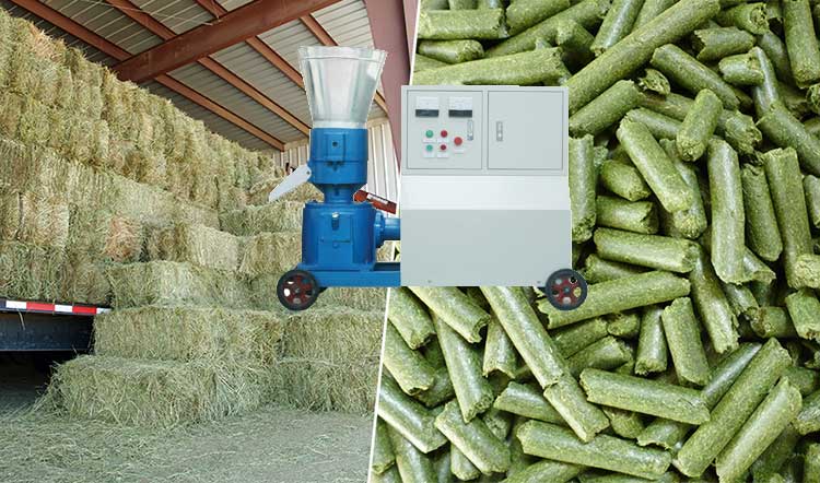 manufacturing-fresh-grass-into-biomass-grass-pellets